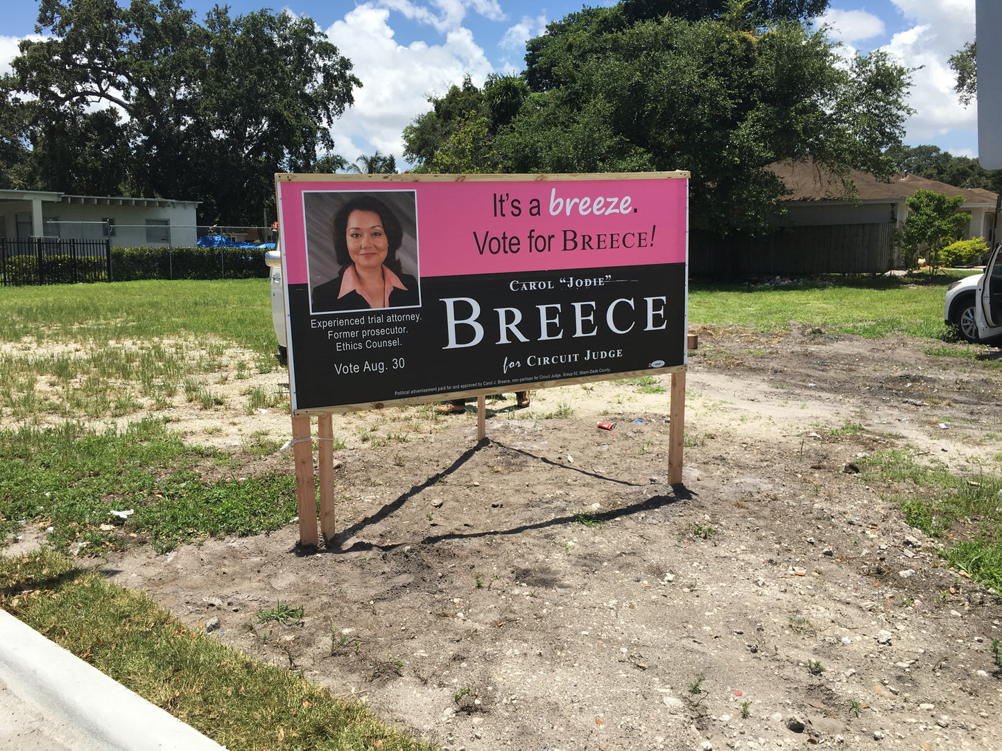 Roadside and Post‑Mounted Campaign Signs