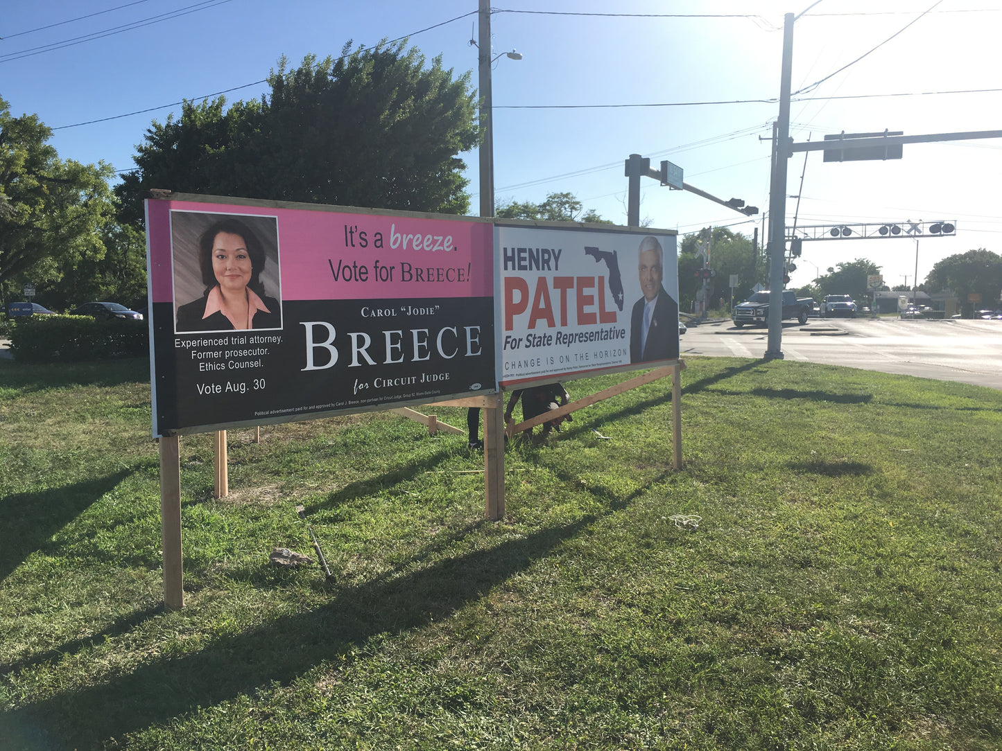 Roadside and Post‑Mounted Campaign Signs