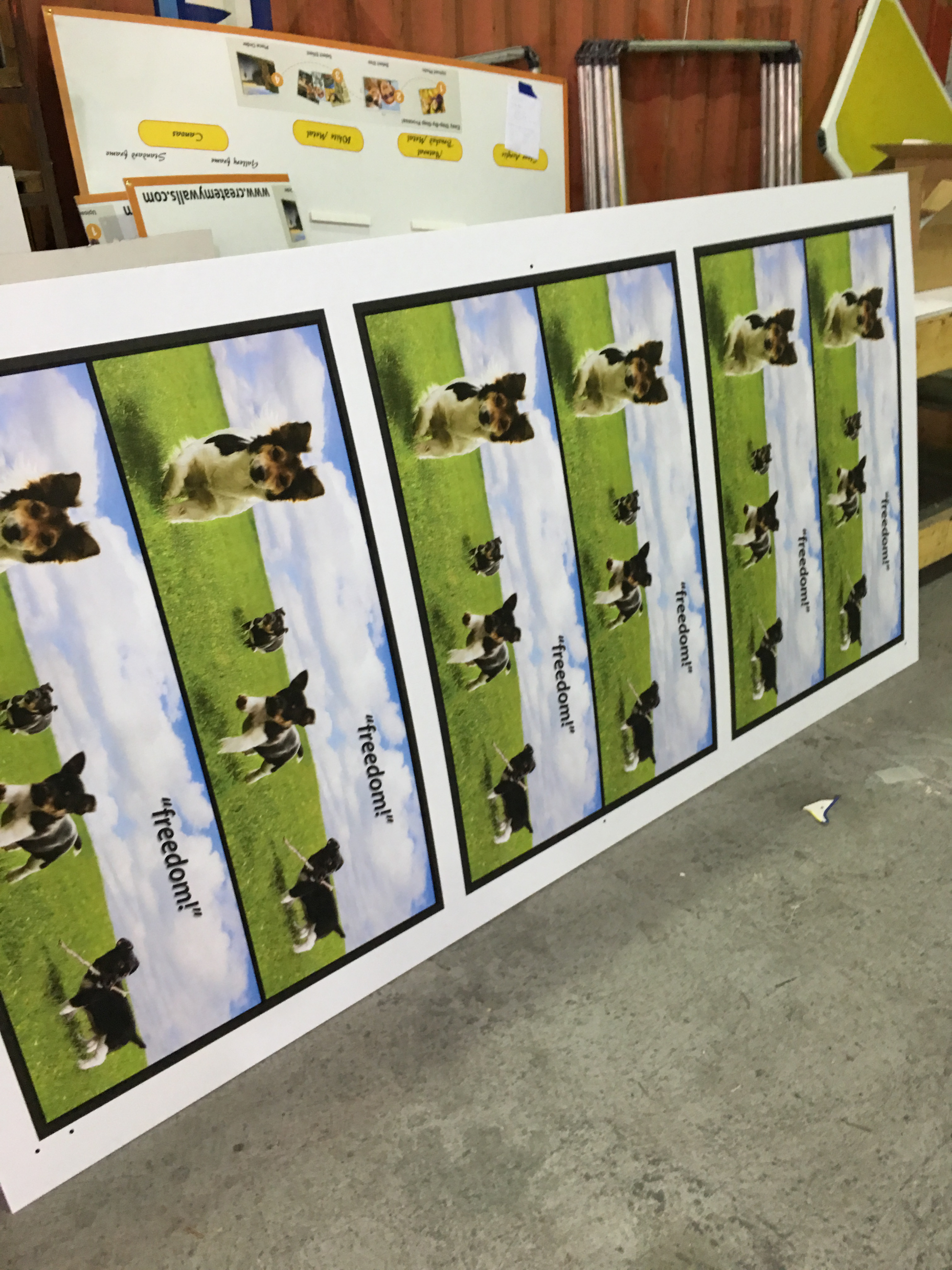 Set of dog mats with 'Freedom' branding displayed on a stand.