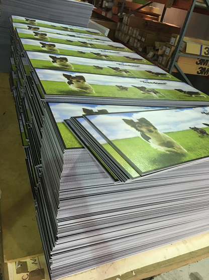 Stack of printed materials with a dog on the cover, placed on a wooden surface.
